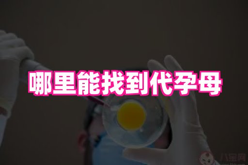 长沙助孕网 1