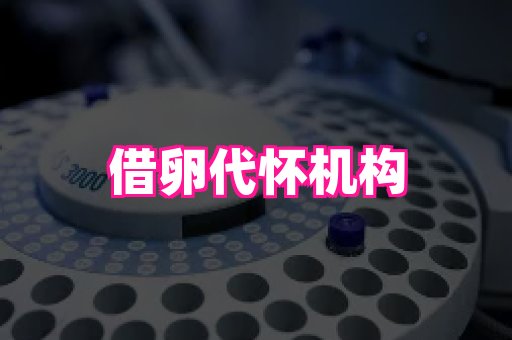 长沙助孕网 3